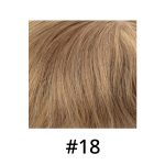 18 150x150 1 PU-FRONTAL: Geri Çekilmiş Saç Çizgisi Toptan Satış için Erkek Frontal Saç Parçası